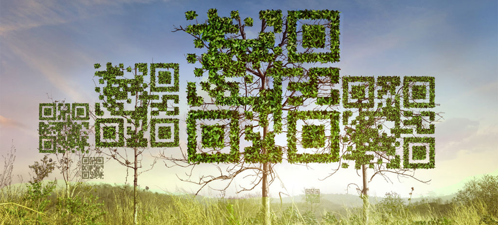 QR Codes and Sustainability